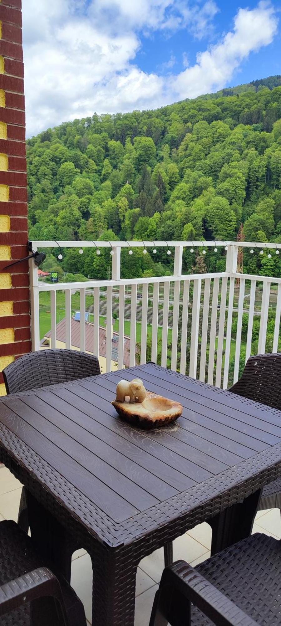 شقة Duplex Belle View Sinaia-Free Parking المظهر الخارجي الصورة