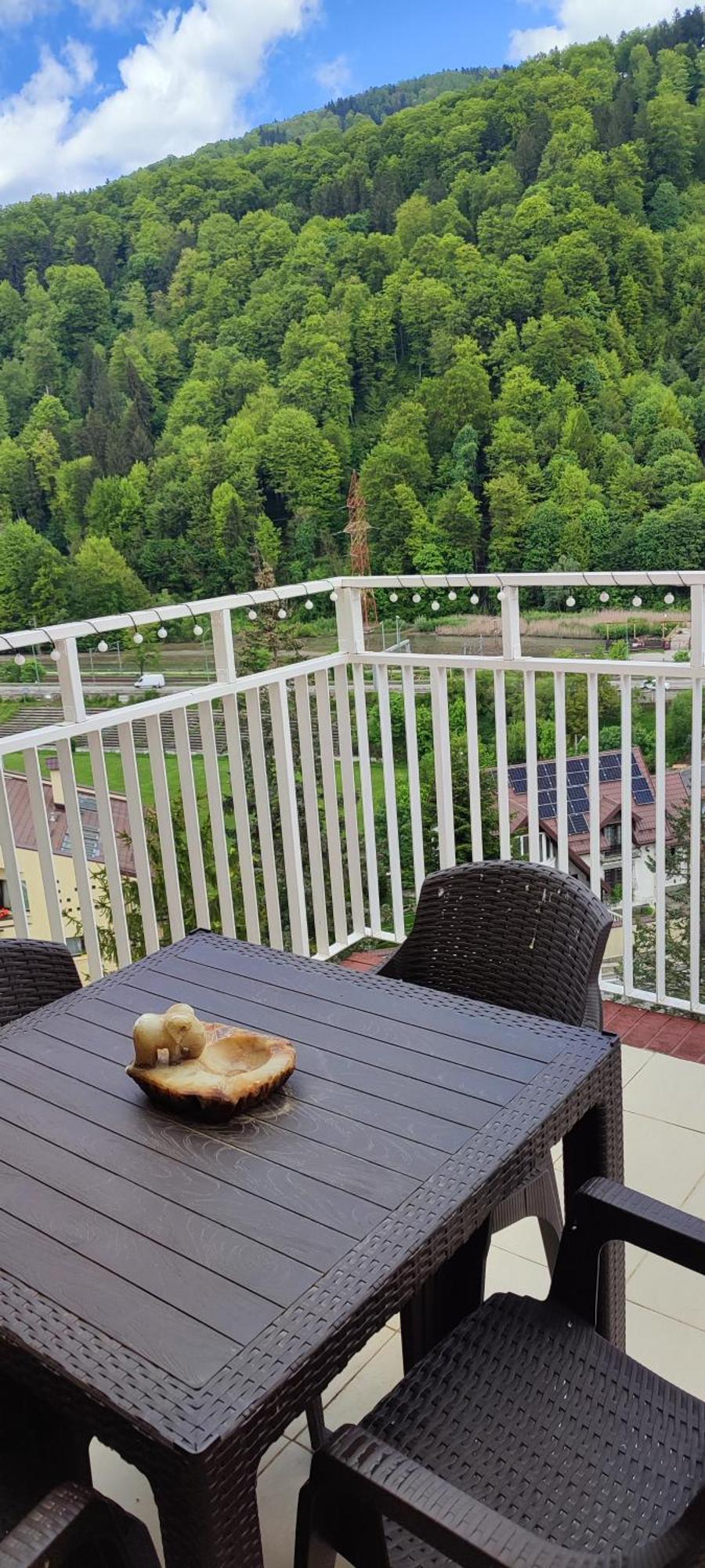 شقة Duplex Belle View Sinaia-Free Parking المظهر الخارجي الصورة